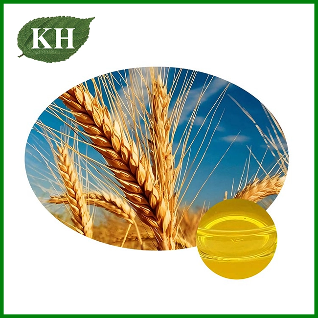 Natural Wheat Germ Oil Wholesale